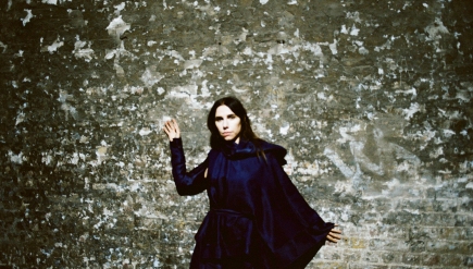 PJ Harvey's "Community of Hope" targets development and poverty in D.C. But is it fair?